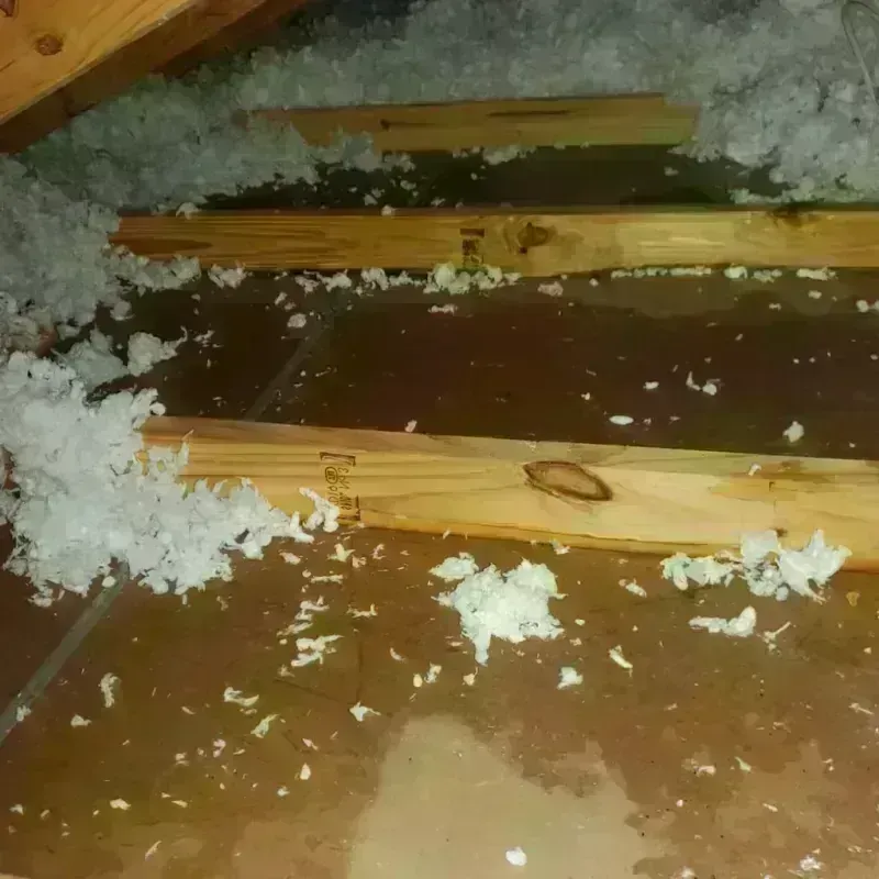 Attic Water Damage in Holland, TX