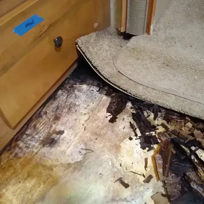 Wood Floor Water Damage in Holland, TX